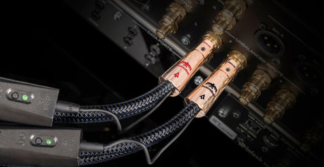 AudioQuest ThunderBird RCA > RCA - ICTBIRDRCA050 0.5 m = 1 ft 7 in Pair