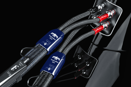 ThunderBird Takes Enthusiasm to New Heights