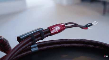 Big Kids Toys Loves Brave Heart - AudioQuest