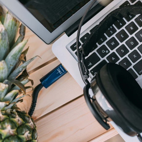 DragonFly Cobalt is a Perfect Companion - AudioQuest