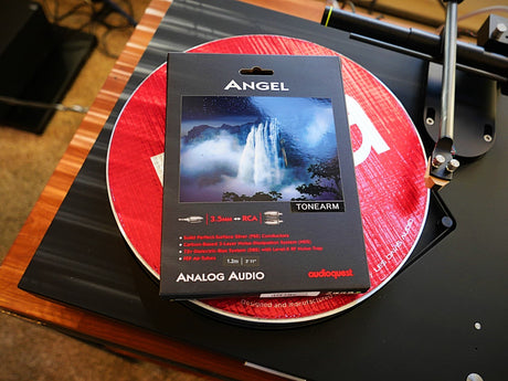 AudioQuest Angel Delivers Clarity