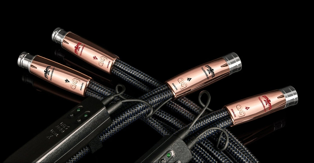 Nei Goder ThunderBird: One High-Flying Bird – AudioQuest