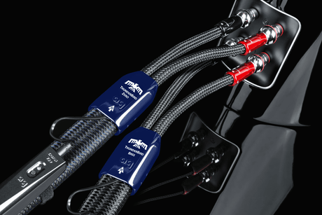 ThunderBird Takes Enthusiasm to New Heights - AudioQuest