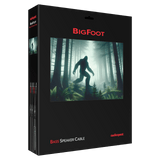 AudioQuest BigFoot BASS - BFOOT1.5BS 1.5 m = 4 ft 11 in 2 x Bananas > 2 x Bananas