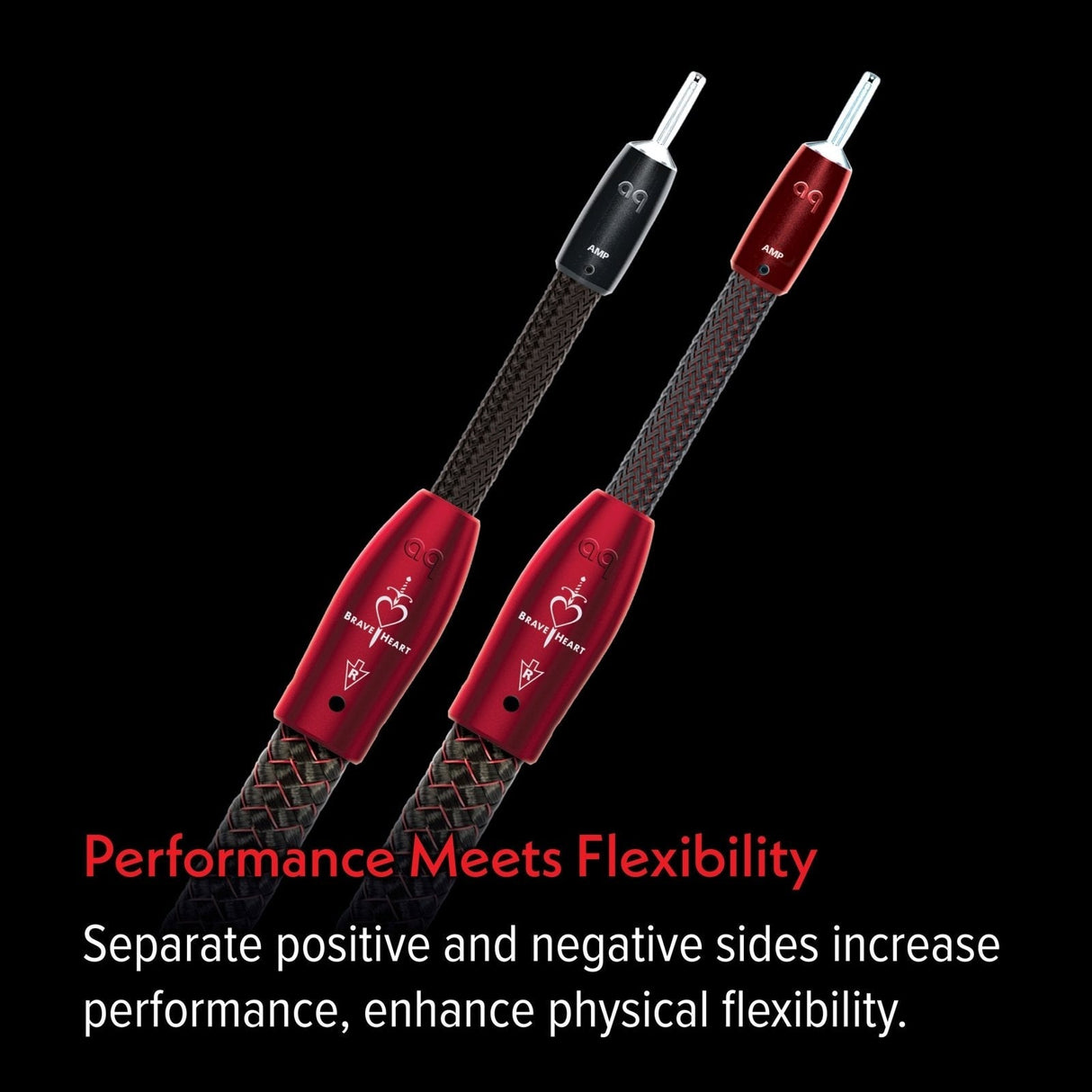 AudioQuest Brave Heart Full - Range - North America