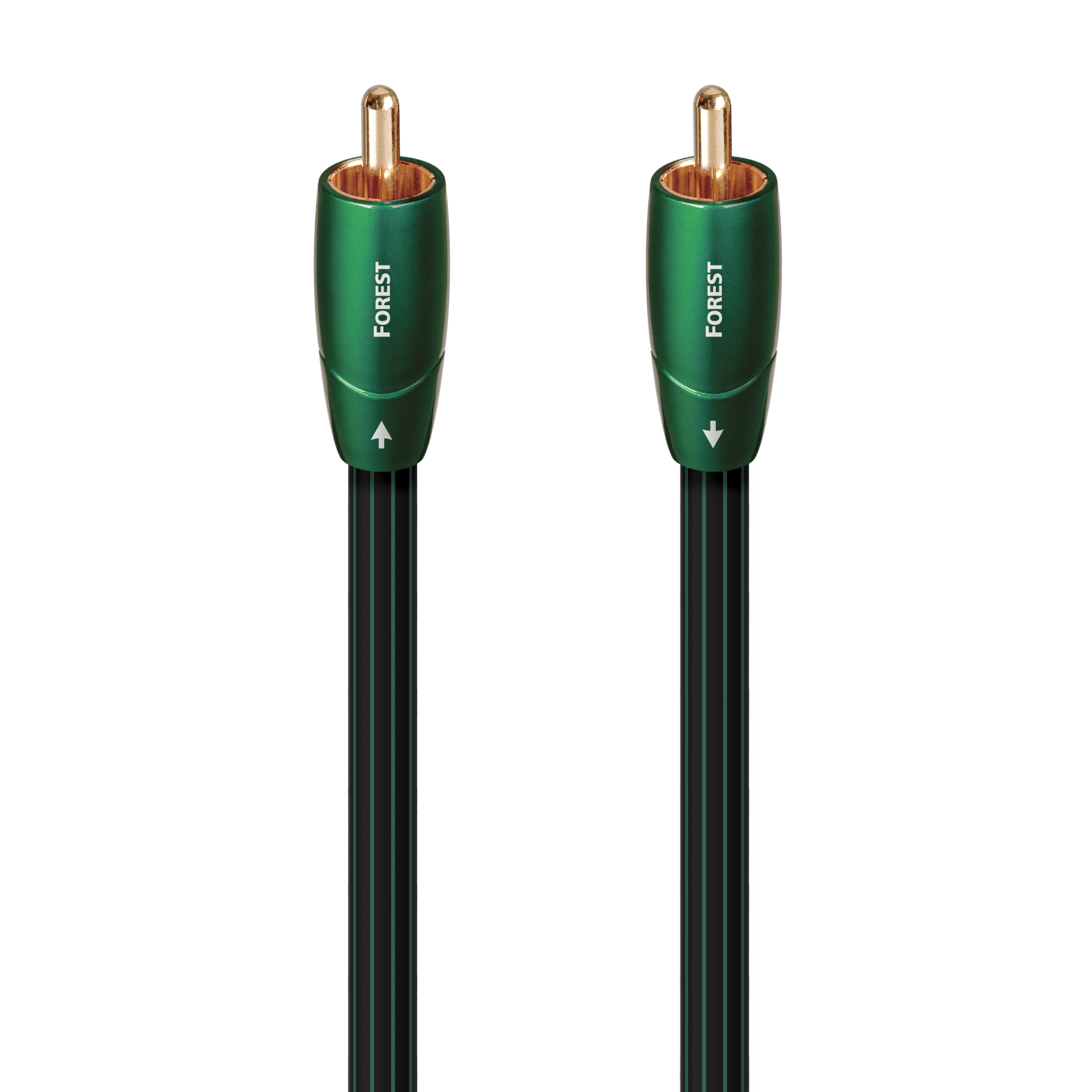 qes-opt3-for30.jpg