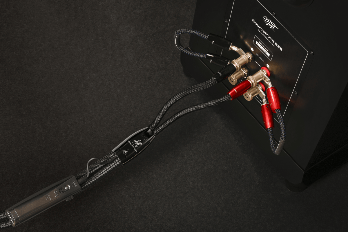 AudioQuest Lone Ranger Full-Range - LRANGER6SM 6 ft = 1.83 m Pair 2 x Male Multi-Spade > 2 x Male Multi-Spade - Silver