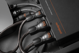 AudioQuest PowerQuest TV3 - PQTV3