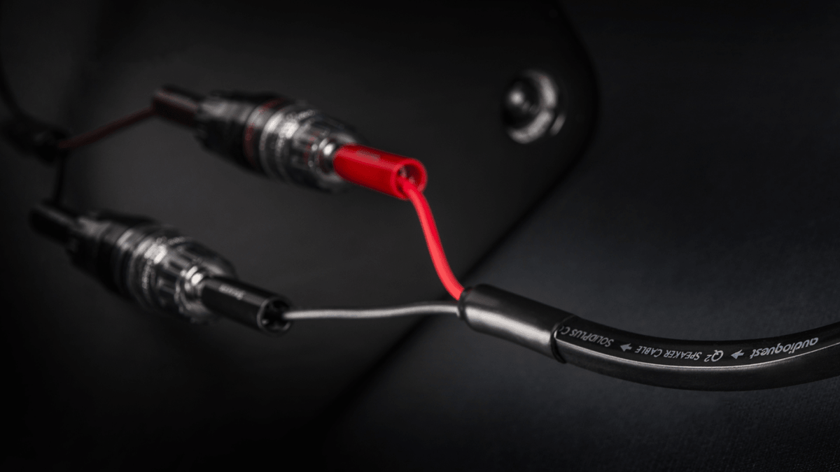 AudioQuest Q2 Full-Range - Q210BANS