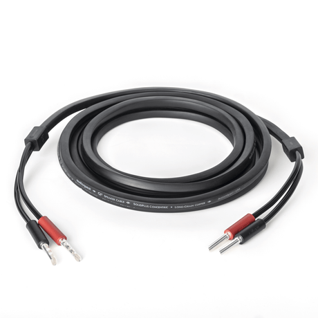 AudioQuest Q2 Full-Range - Q210BANS