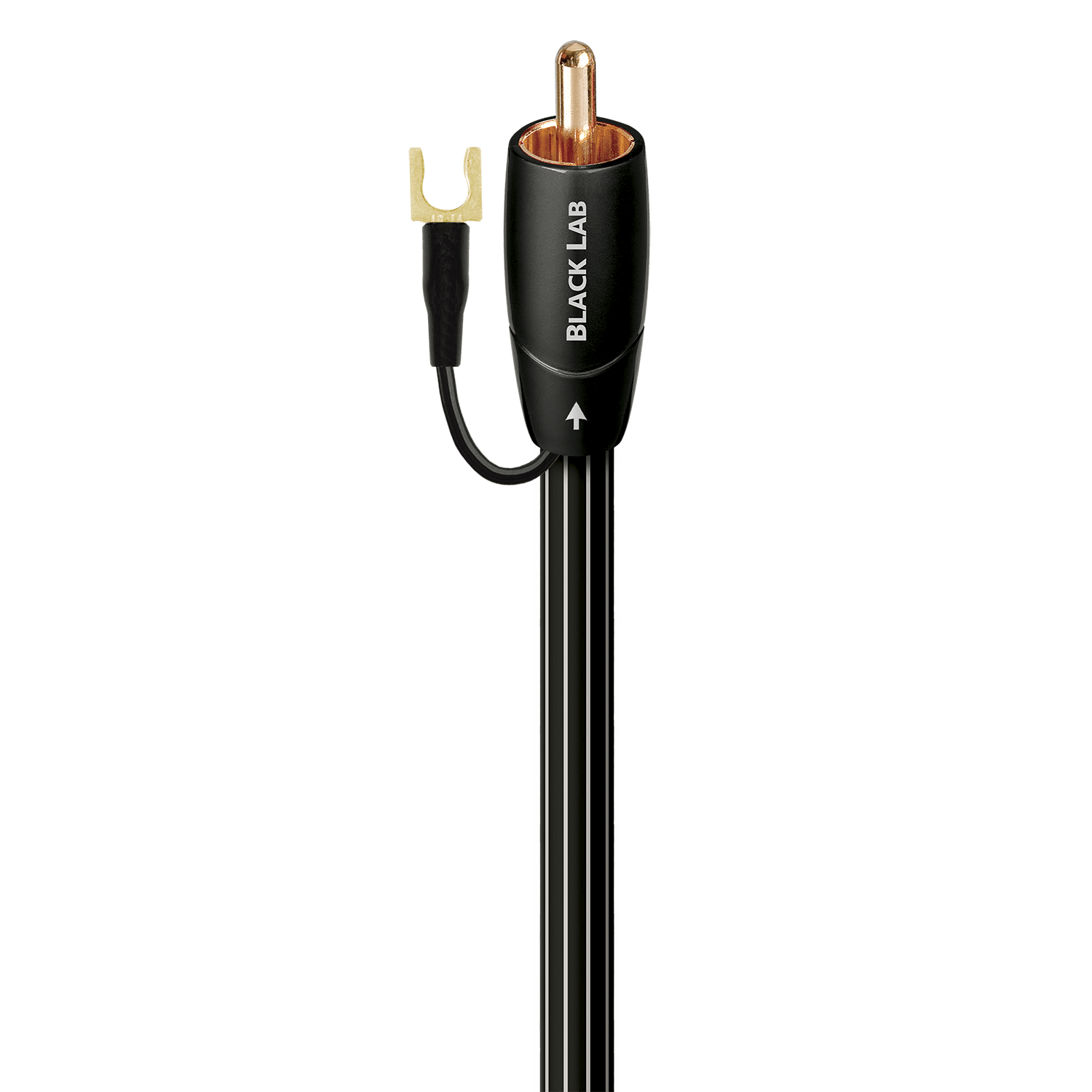 Black Lab RCA - BLAB02-2 m = 6 ft 6 in