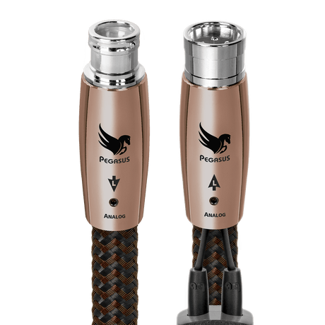 Pegasus XLR > XLR - ICPEGASUSXLR060-0.6 m = 1 ft 11 in